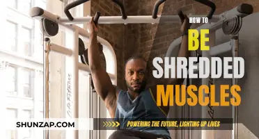 Building Shredded Muscles: Secrets to Success