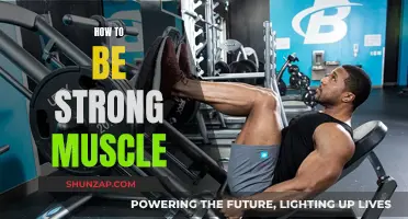 Building Muscle Strength: Effective Strategies for Success