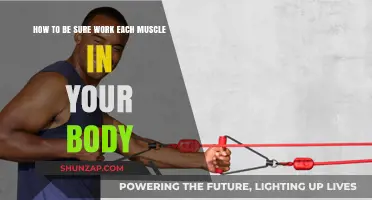 Master Full-Body Fitness: Ensure Every Muscle Works Effectively