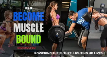 Building Muscle Mass: Strategies for Success