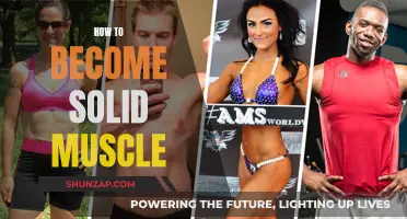 Building Solid Muscle: Strategies for a Powerful Physique