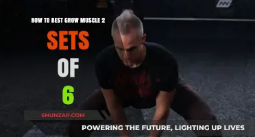 Maximize Muscle Growth: Effective 2 Sets of 6 Reps Strategy