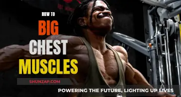 Building a Bigger Chest: Strategies for Maximum Muscle Growth