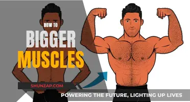 Building Bigger Muscles: Effective Strategies for Maximum Results