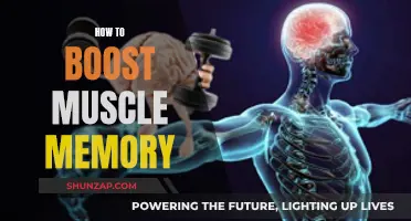 Enhancing Muscle Memory: Tips for Faster Skill Acquisition