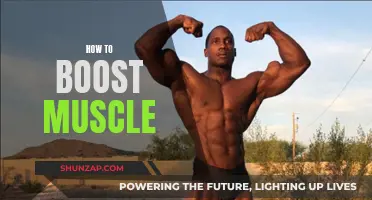 Building Muscle: Effective Strategies for Strength and Growth