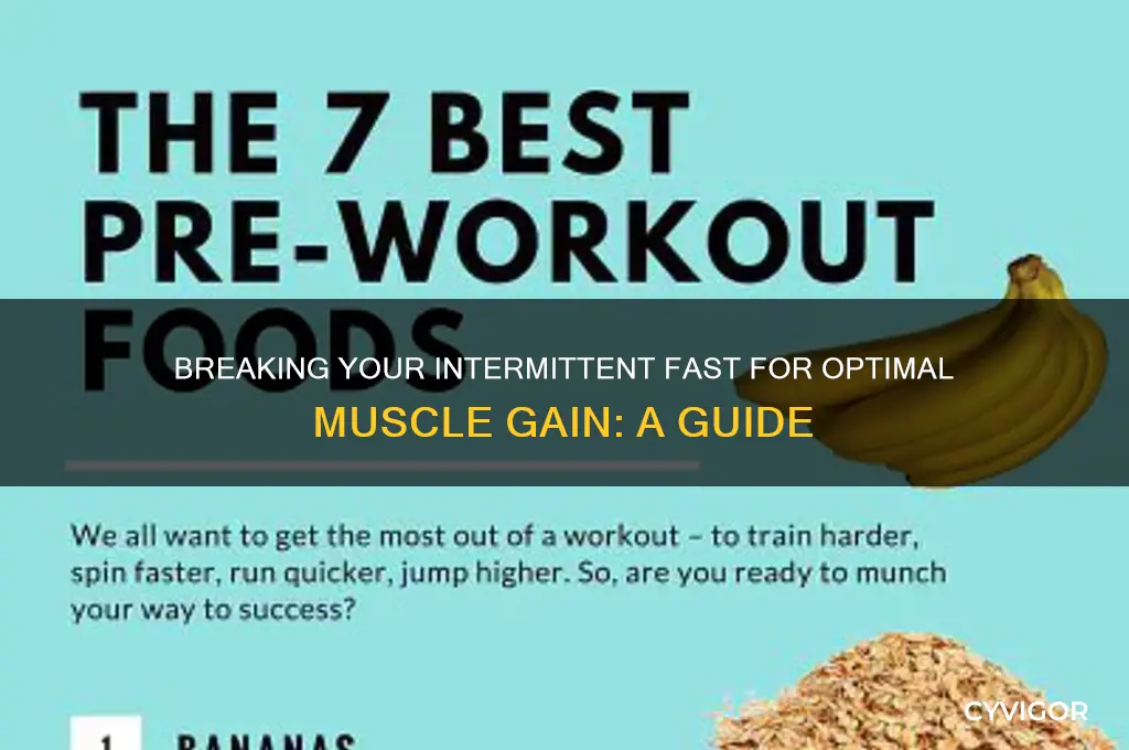 how to break an intermittent fast for muscle gain