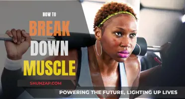 Breaking Down Muscle: Effective Strategies for Fitness Enthusiasts