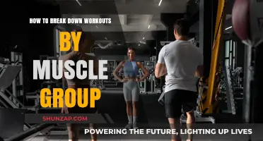 Effective Muscle Group Workout Splits: Optimize Your Training Routine
