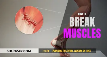 Breaking Muscles: The Ultimate Guide to Muscle Destruction