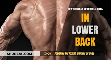 Breaking Up Muscle Mass in Lower Back: A Practical Guide