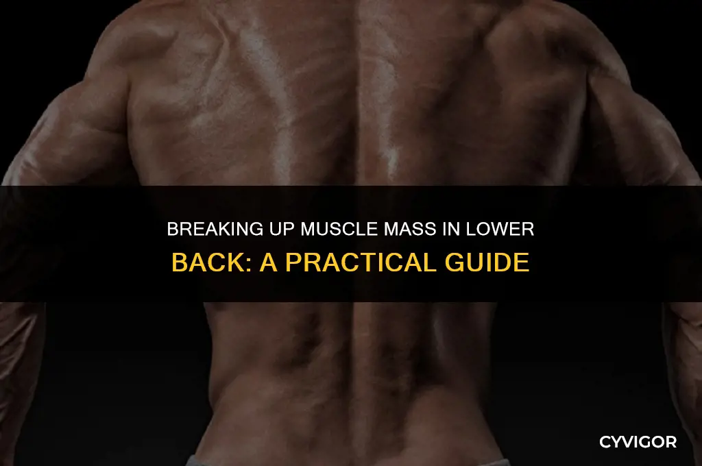 how to break up muscle mass in lower back