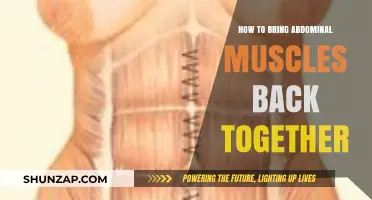 Revive Your Core: A Guide to Reuniting Your Abdominal Muscles