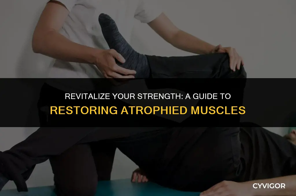 how to bring back atrophied muscles