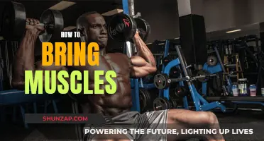 Building Muscles: Strategies to Gain Mass and Tone Up
