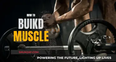 Building Muscle: Effective Strategies for Strength and Growth