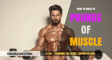 Muscle Building Essentials: Gain 10 Pounds of Muscle with These Tips