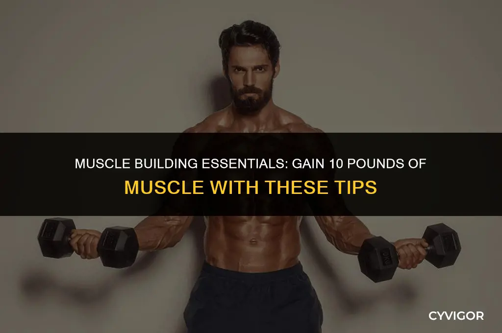 how to build 10 pounds of muscle