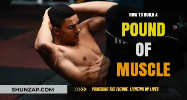 Muscle Building Mastery: How to Pack on a Pound of Muscle