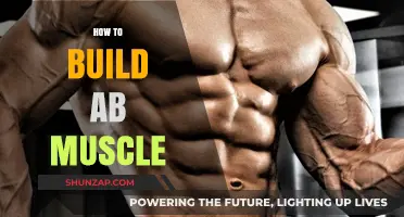 Unlocking Your Core: The Ultimate Guide to Building Ab Muscles
