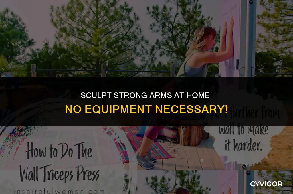how to build arm muscle at home without equipment