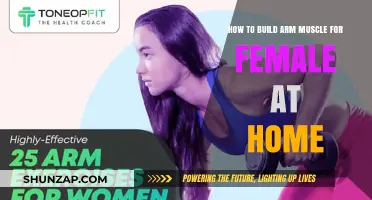 Sculpting Strong Arms: A Female's Guide to Home Muscle Building