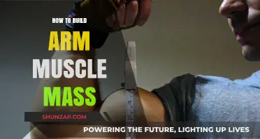 Sculpting Strength: A Guide to Building Impressive Arm Muscle Mass