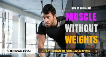 Sculpt Strong Arms: Muscle-Building Techniques Without Weights