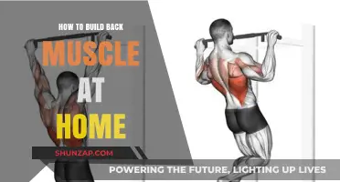 Strengthen Your Back: Effective Home Workouts for Muscle Building