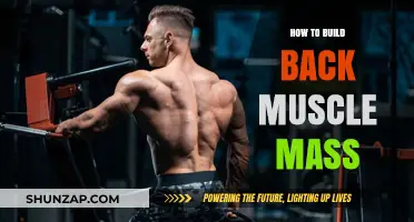 Strengthening Your Back: A Guide to Building Muscle Mass