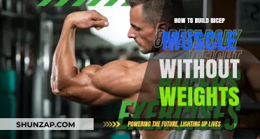 Effective Bicep Building: No Weights Required!