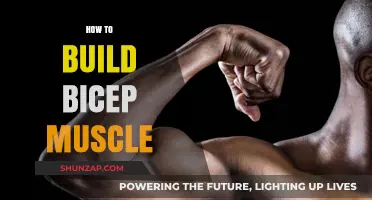 Sculpting Strong Biceps: A Comprehensive Guide to Muscle Building