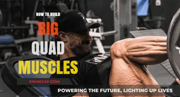 Unlocking the Secrets to Impressive Quad Development