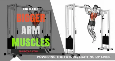 Sculpting Stronger Arms: A Comprehensive Guide to Building Bigger Biceps and Triceps