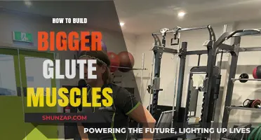 Sculpting Stronger Glutes: A Comprehensive Guide to Building Bigger Muscles