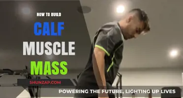 Effective Strategies for Building Impressive Calf Muscle Mass