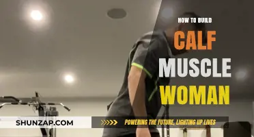 Effective Calf Muscle Building Exercises for Women