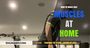 Effective Calf Muscle Building Exercises for Home Workouts