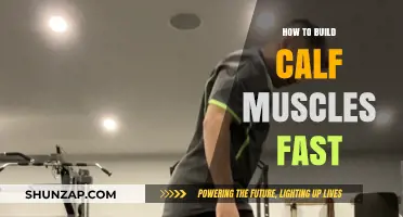 Quick Calf Muscle Growth: Effective Exercises and Tips