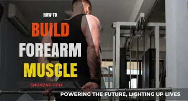 Strengthening Your Forearms: A Comprehensive Guide to Building Muscle