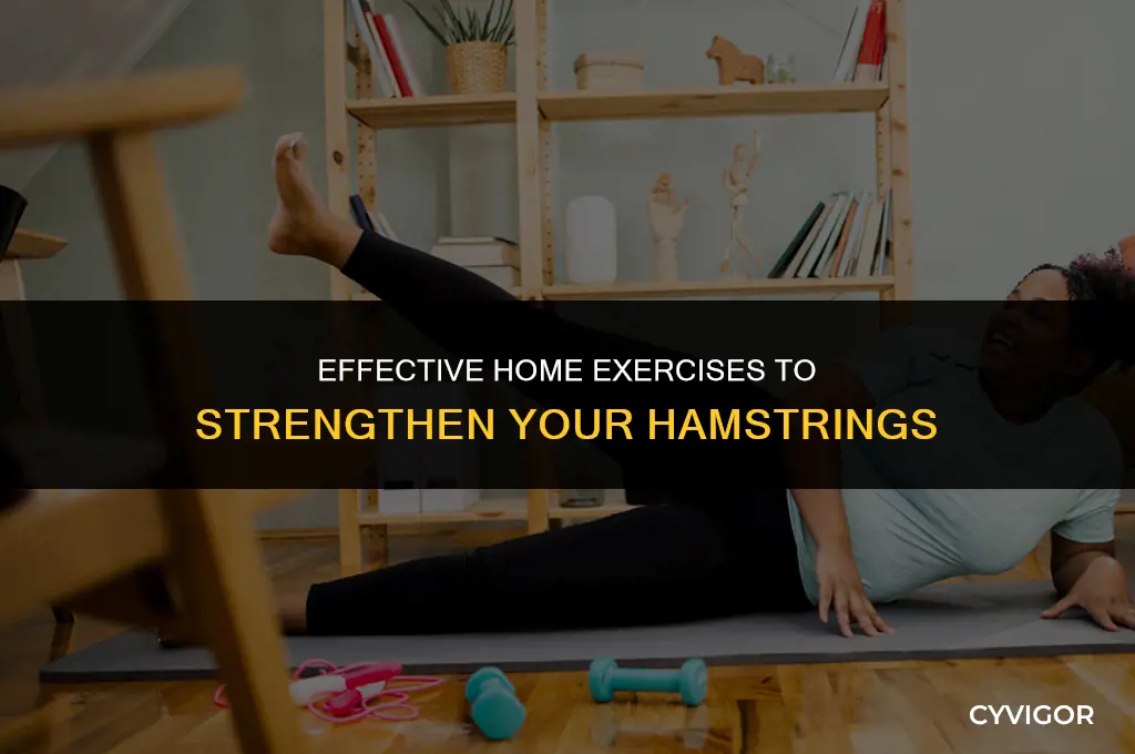 how to build hamstring muscles at home
