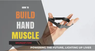 Strengthen Your Grip: Effective Exercises to Build Hand Muscles