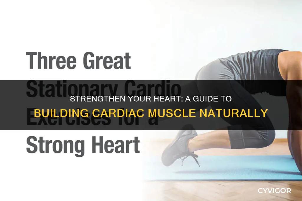 how to build heart muscle