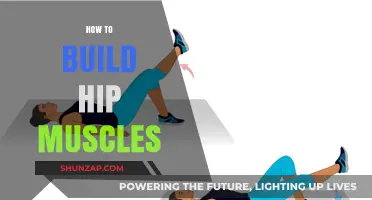 Strengthening Your Hips: A Comprehensive Guide to Building Hip Muscles