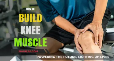 Strengthening Your Knees: A Guide to Building Muscle and Support