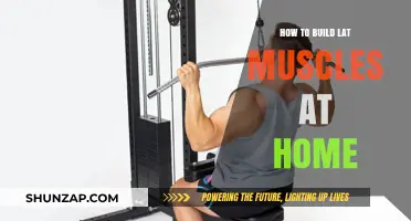 Sculpt Your Back: Effective Home Workouts for Strong Lat Muscles