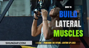 Strengthening Your Sides: A Guide to Building Lateral Muscles