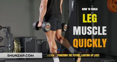 Fast-Track Your Fitness: Building Leg Muscle in No Time