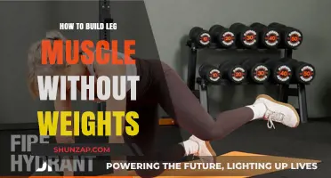 Effective Strategies to Strengthen Your Legs Without Weights