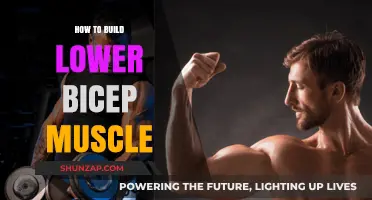 Sculpting Strong Lower Biceps: A Comprehensive Guide to Muscle Building